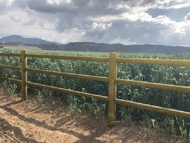 Vallado de madera encastrada de tres alturas separando un camino de tierra de una parcela de cultivo