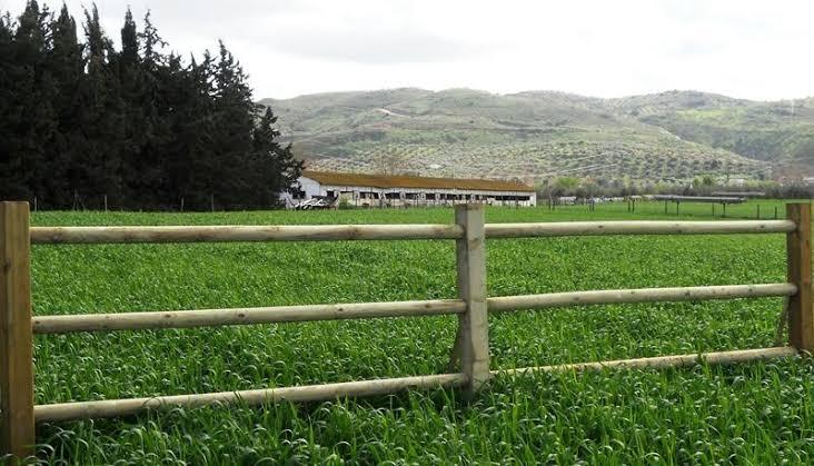 Cercado de madera de tres travesaños delimitando una pradera verde frente a una nave agrícola